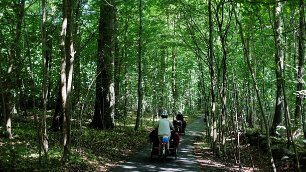 Private naturafspærringer er uklædelig selvtægt